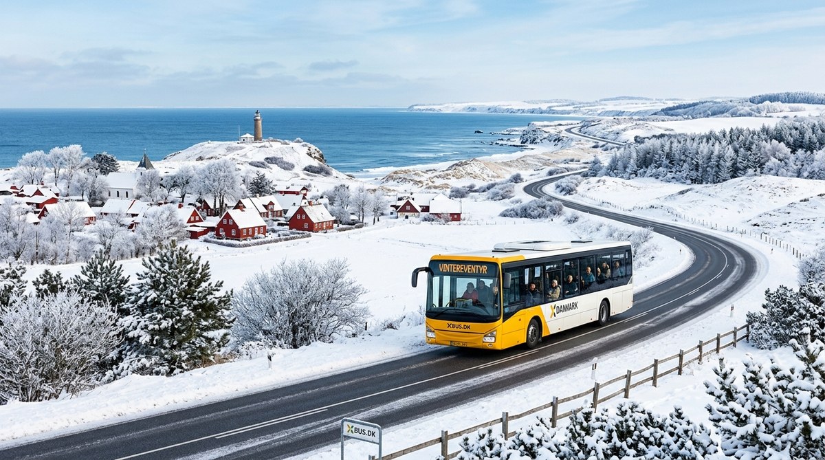 De bedste busruter til vintereventyr i Danmark